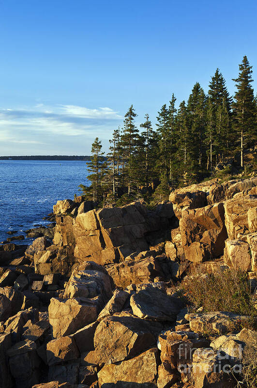 Acadia Art Print featuring the photograph Coastal Maine #1 by John Greim