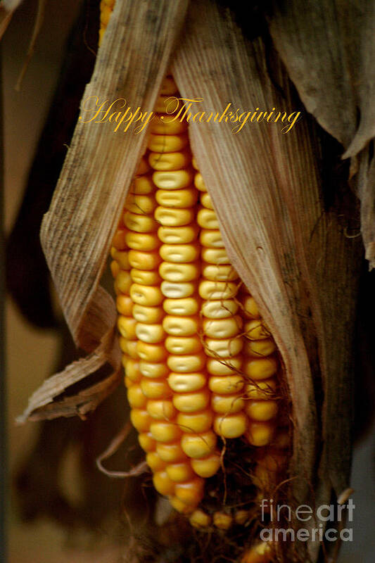 Dried Corn Art Print featuring the photograph Dry Corn Husk #1 by Living Color Photography Lorraine Lynch