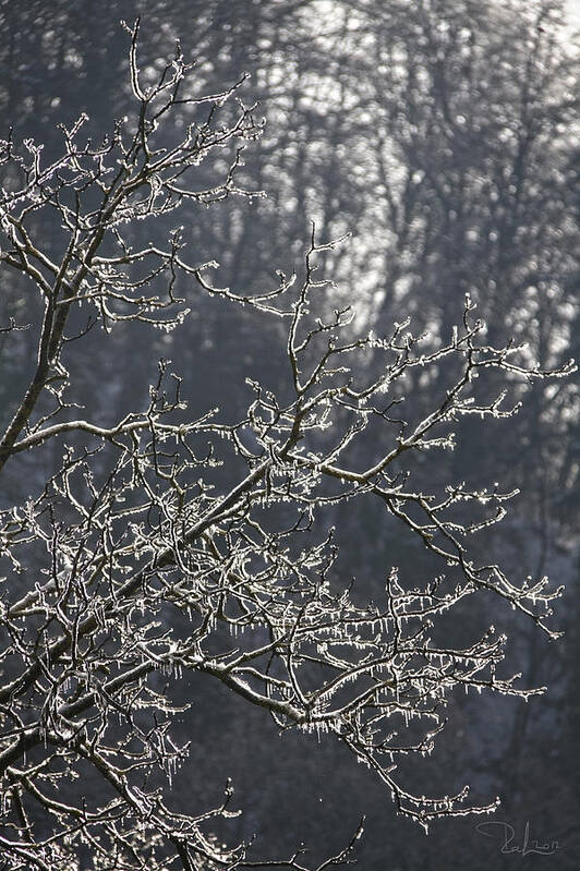 Ice Art Print featuring the photograph Frozen #1 by Raffaella Lunelli