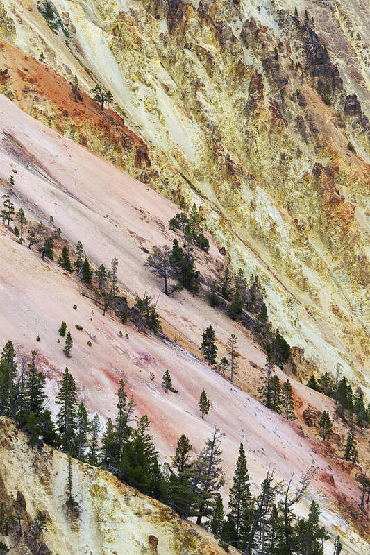 Flpa Art Print featuring the photograph Grand Canyon Of Yellowstone Wyoming #1 by Bill Coster