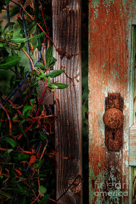 Rusty Doorknob Art Print featuring the photograph The Garden Door by Jim Garrison