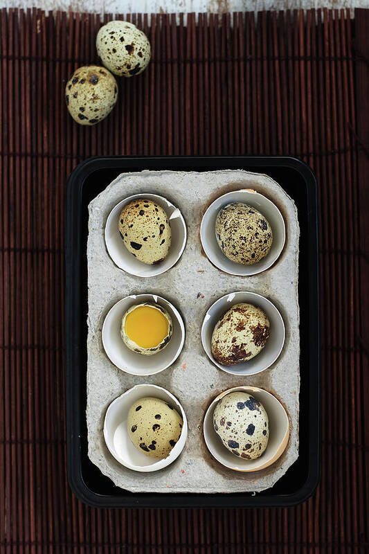 Eggshell Art Print featuring the photograph Quail Eggs #1 by Ashasathees Photography