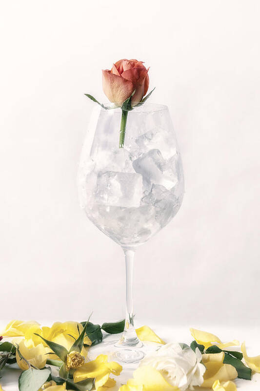 Rose Art Print featuring the photograph Rose On The Rocks #1 by Joana Kruse