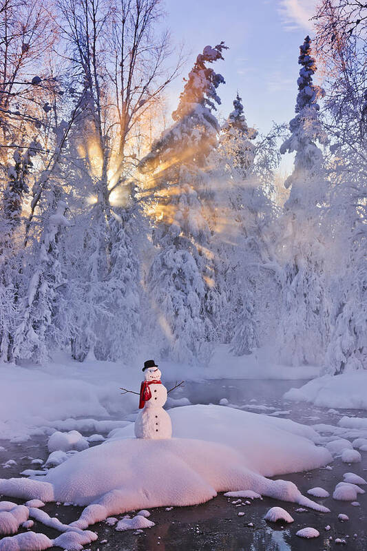 Smith Art Print featuring the photograph Snowman Standing On A Small Island #1 by Kevin Smith