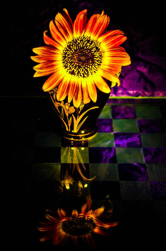  Art Print featuring the photograph Sunflower #1 by Gerald Kloss
