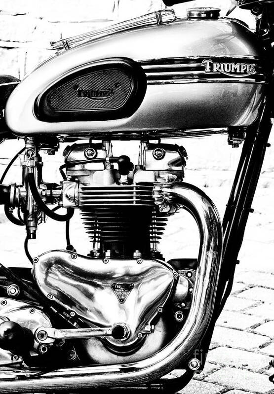 Triumph Tiger T110 Art Print featuring the photograph Triumph Tiger T110 Motorcycle Monochrome by Tim Gainey