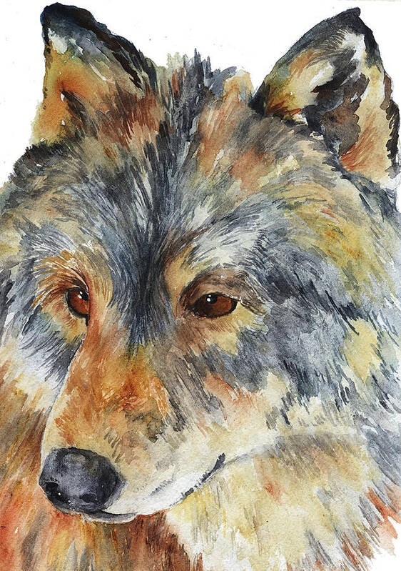 Wolf Art Print featuring the painting Wolf by Sally Quillin