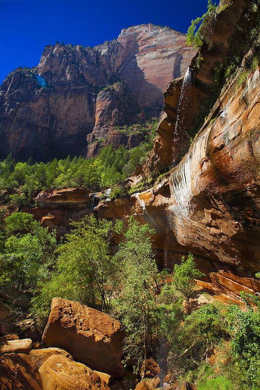 Landscape Art Print featuring the photograph Zion National Park Utah USA #51 by Richard Wiggins