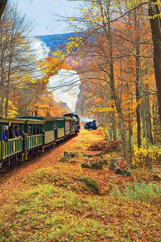 Cass Scenic Railroad Art Print featuring the photograph Cass Scenic Railroad #13 by Mary Almond