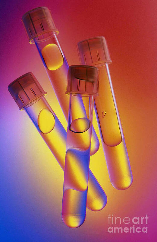 Chemistry Art Print featuring the photograph Laboratory Glassware #10 by Charlotte Raymond