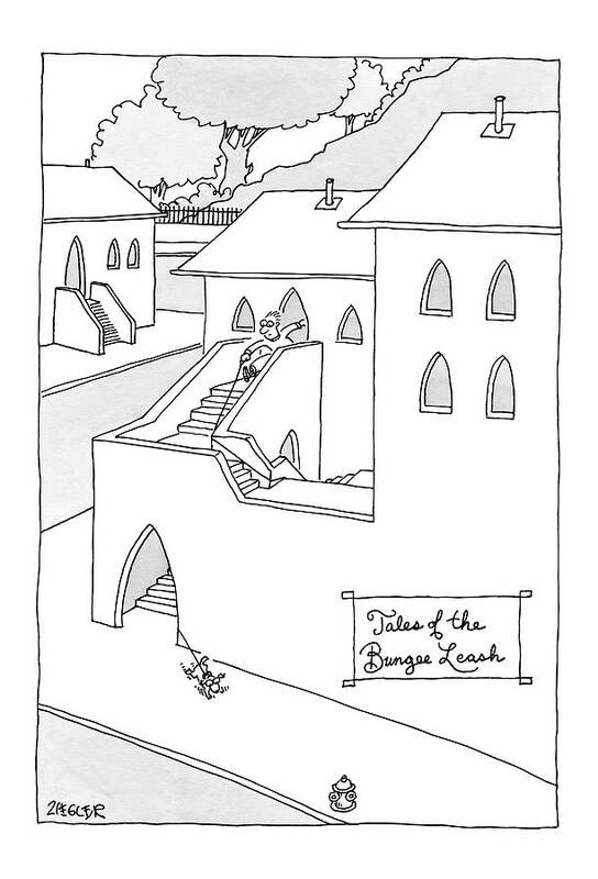 Pets Problems Architecture Inventions Bungee Cord

(man Following Dog Who's Leash Is Entangled On Winding Staircase.) 121503 Jzi Jack Ziegler Art Print featuring the drawing Tales Of The Bungee Leash by Jack Ziegler