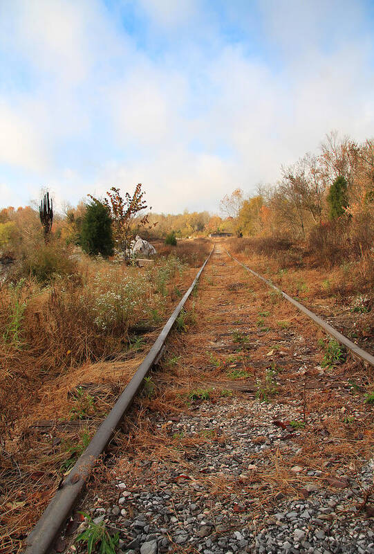 Railroad Tracks Art Print featuring the photograph Abandoned Tracks #2 by Melinda Fawver