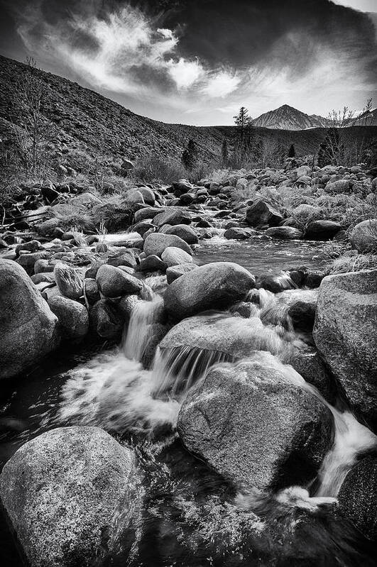 Black Art Print featuring the photograph Big Pine Creek #2 by Cat Connor