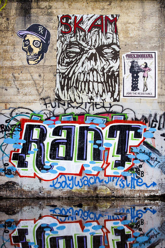 Graffiti Art Print featuring the photograph Graffiti #2 by Carol Leigh