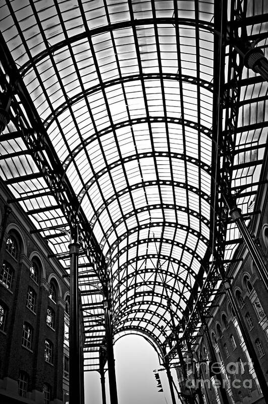 Hays Art Print featuring the photograph Hay's Galleria roof 1 by Elena Elisseeva