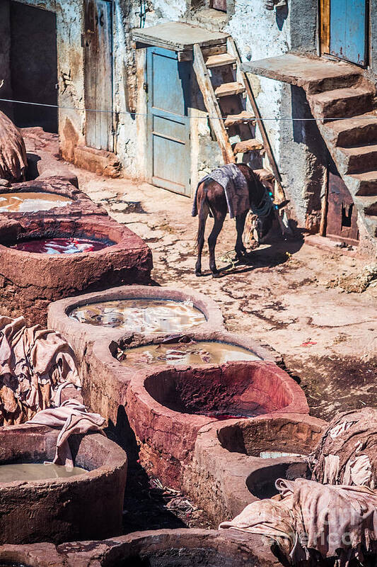 Tanners Photographs Art Print featuring the photograph Tannery in Fes #2 by Sabino Parente