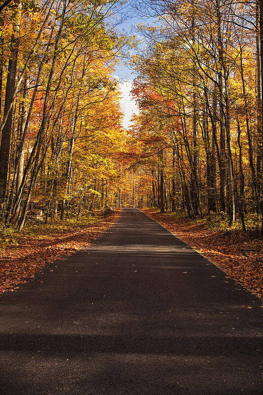 Road Art Print featuring the photograph Autumn Drive #3 by Andrew Soundarajan