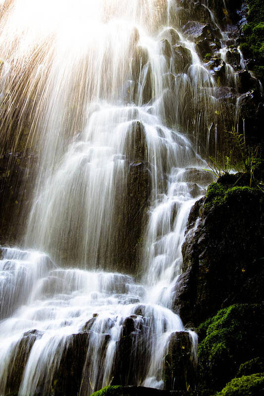 Waterfalls Art Print featuring the photograph Fairy Falls by Patricia Babbitt