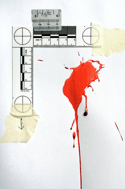 Evidence Art Print featuring the photograph Blood Spatter Analysis #5 by Jim Varney/science Photo Library