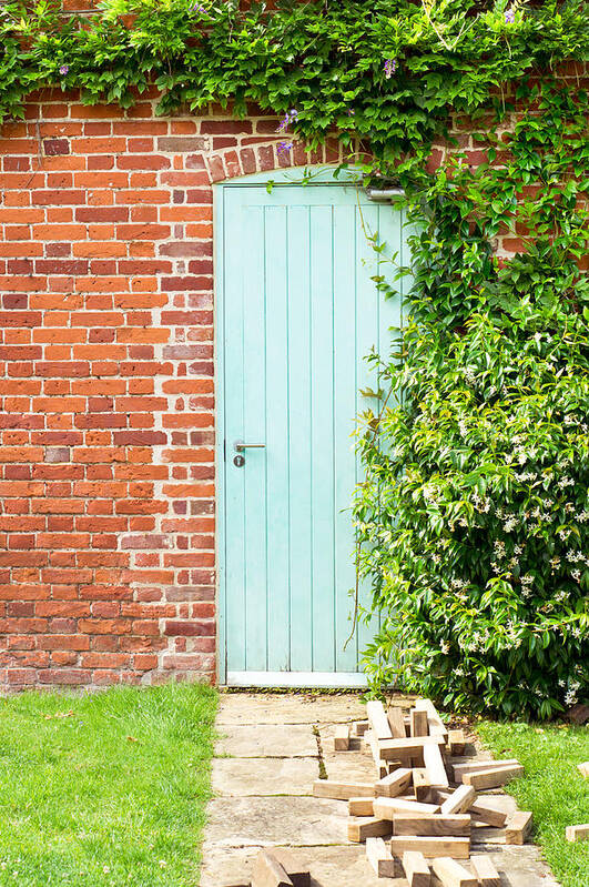 Abandoned Art Print featuring the photograph Blue door #6 by Tom Gowanlock