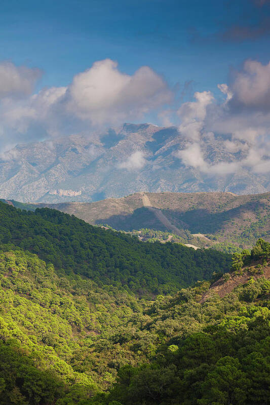 Andalucia Art Print featuring the photograph Spain, Andalucia Region, Malaga #7 by Walter Bibikow