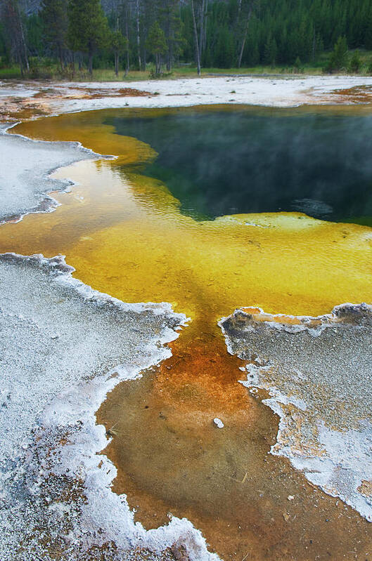 Tranquility Art Print featuring the photograph Yellowstone National Park #8 by Alan Majchrowicz