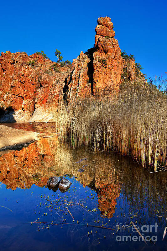 Glen Helen Gorge Outback Landscape Central Australia Water Hole Northern Territory Australian West Mcdonnell Ranges Art Print featuring the photograph Glen Helen Gorge #9 by Bill Robinson