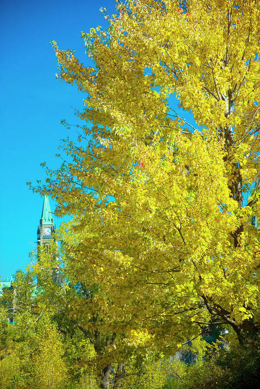 Clock Tower Art Print featuring the photograph Parliament #9 by Dennis Mccoleman