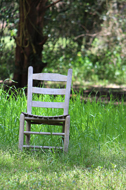 Old Wooden Chair Art Print featuring the photograph A Chair in the Grass by Lynn Jordan