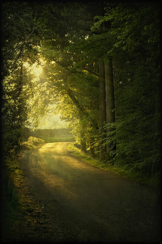 Road Art Print featuring the photograph A Path To The Light by Evelina Kremsdorf