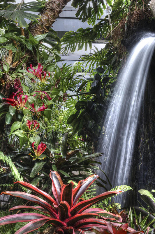 Waterfall Art Print featuring the photograph A piece of paradise by Dorothy Hilde