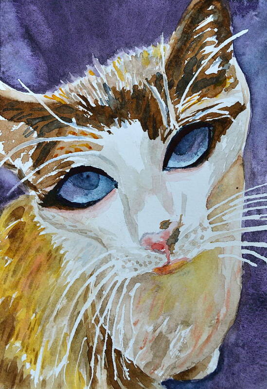 Cat Art Print featuring the painting A Pleading Look by Beverley Harper Tinsley