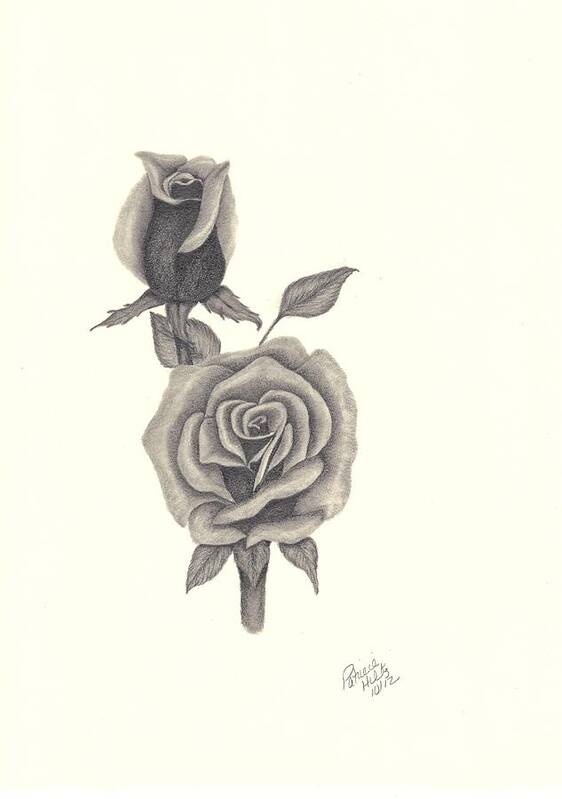 Rose Art Print featuring the drawing A Roses Beauty by Patricia Hiltz