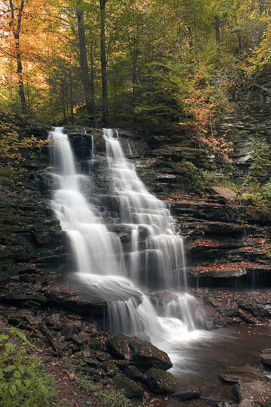 Erie Falls Art Print featuring the photograph A Touch of Autumn at Erie Falls by Gene Walls