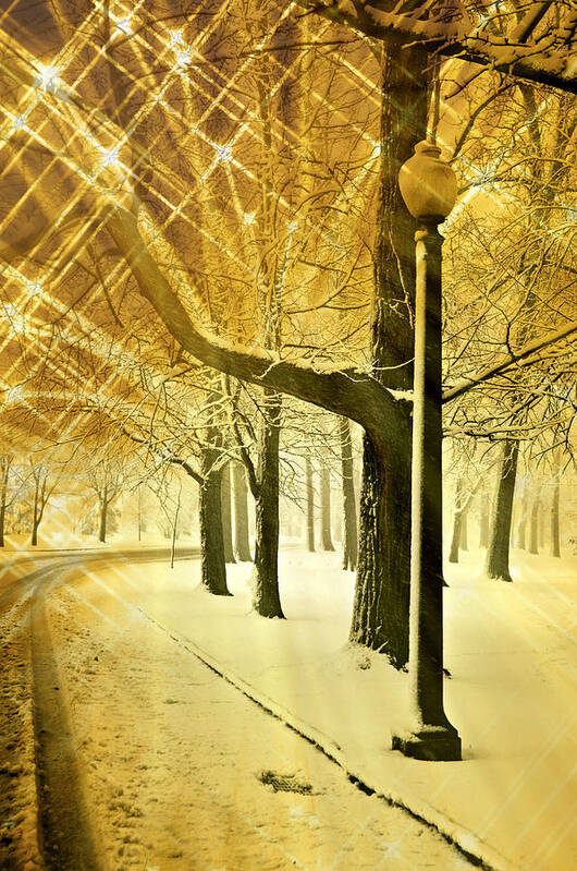Winter Art Print featuring the photograph A Winter's Night by Marty Koch
