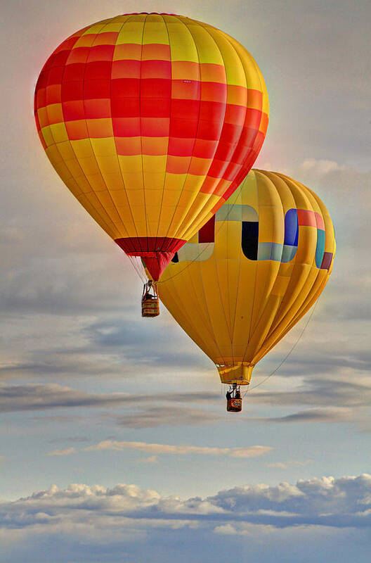 Balloon Art Print featuring the photograph Above by Scott Mahon