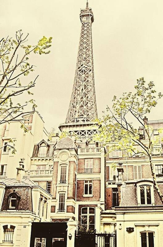 Eiffel Tower Art Print featuring the photograph Above the Rooftops by Jenny Hudson
