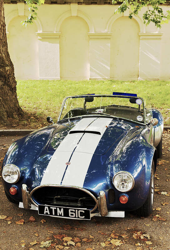 Ac Cobra Art Print featuring the photograph AC Cobra by Maj Seda