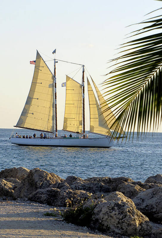 Water Art Print featuring the photograph Sailing on the Adirondack in Key West by Bob Slitzan