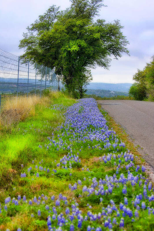 Landscape Art Print featuring the photograph Along the By Ways by Joan Bertucci