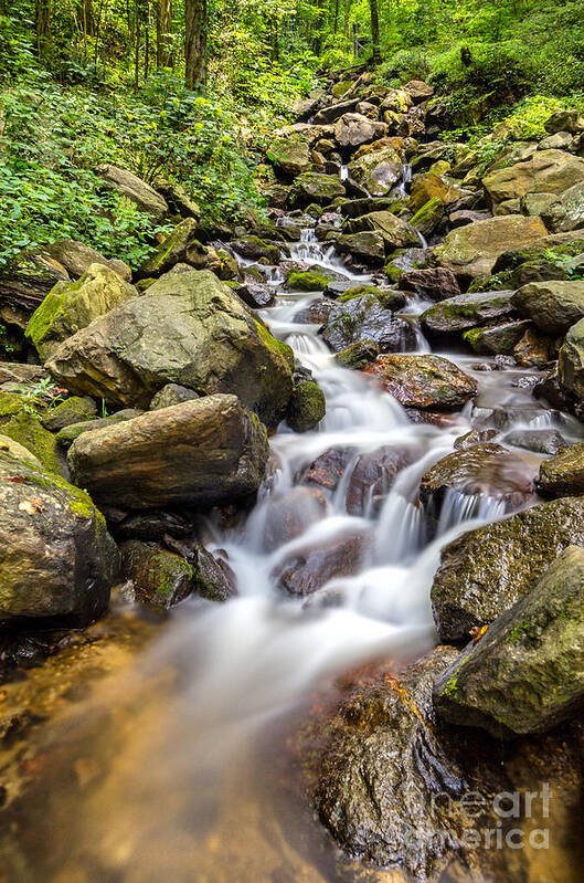 Amicalola-falls Art Print featuring the photograph Amicalola Falls by Bernd Laeschke