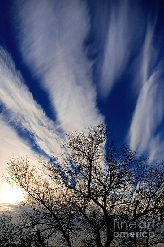 Amazing Sky Art Print featuring the photograph Angelic Clouds 1 by Terry Elniski