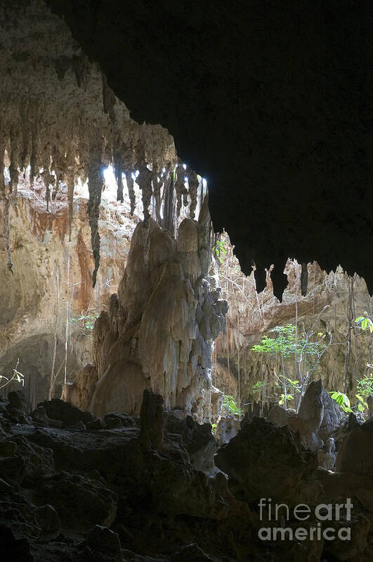 Underground Art Print featuring the photograph Anjohibe Cave, Madagascar by Greg Dimijian