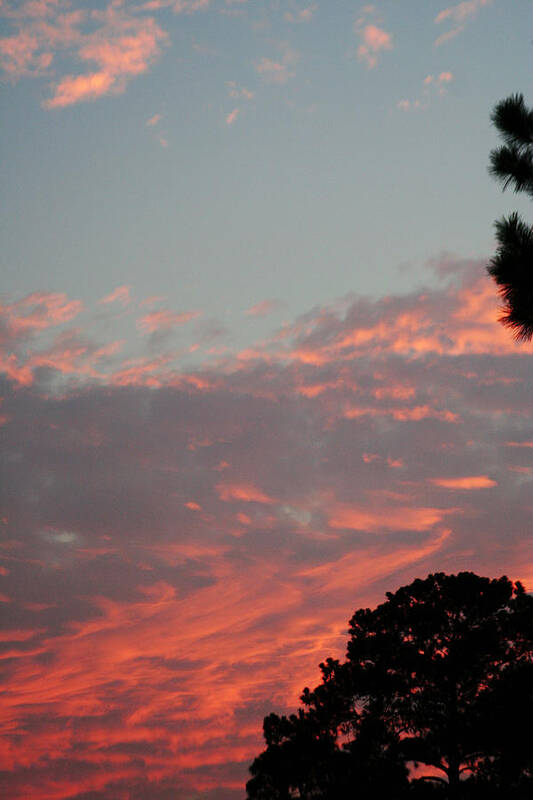 Brookeland Art Print featuring the photograph Another Rayburn Sunset by Max Mullins