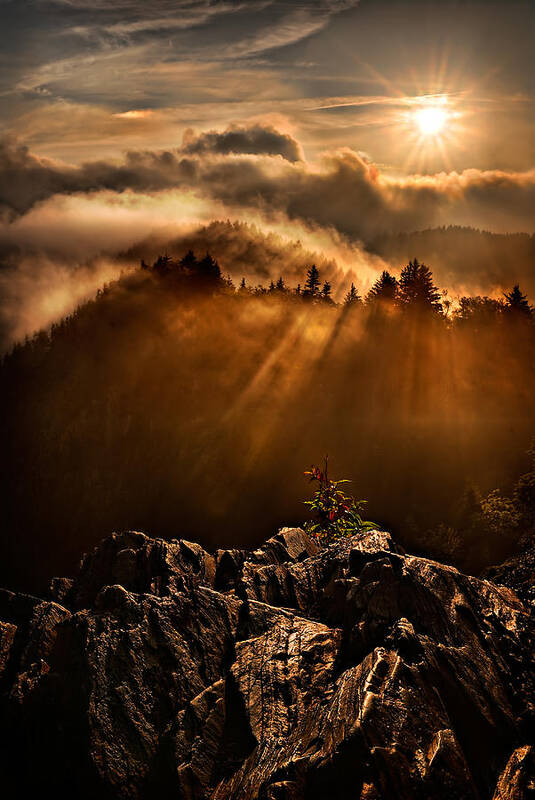 2011 Art Print featuring the photograph Appalachian Dawn by Robert Charity