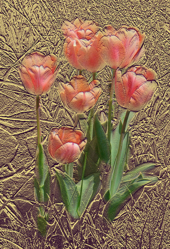  Art Print featuring the photograph Apricot Tulips by Steve Karol