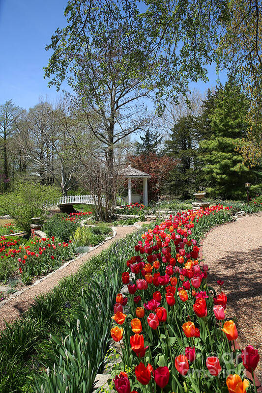 Belle Plaine Arboretum Art Print featuring the photograph Arb by Betty Morgan