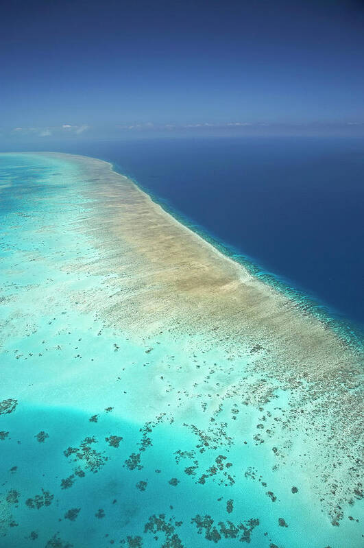 Aerial Art Print featuring the photograph Arlington Reef, Great Barrier Reef by David Wall
