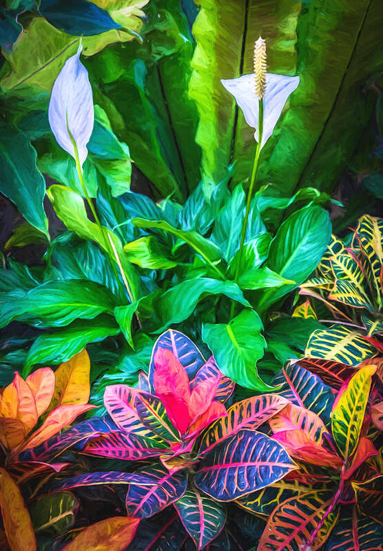 Flower Art Print featuring the photograph Arrangement of Croton and Spath - Digital Photo Art by Duane Miller