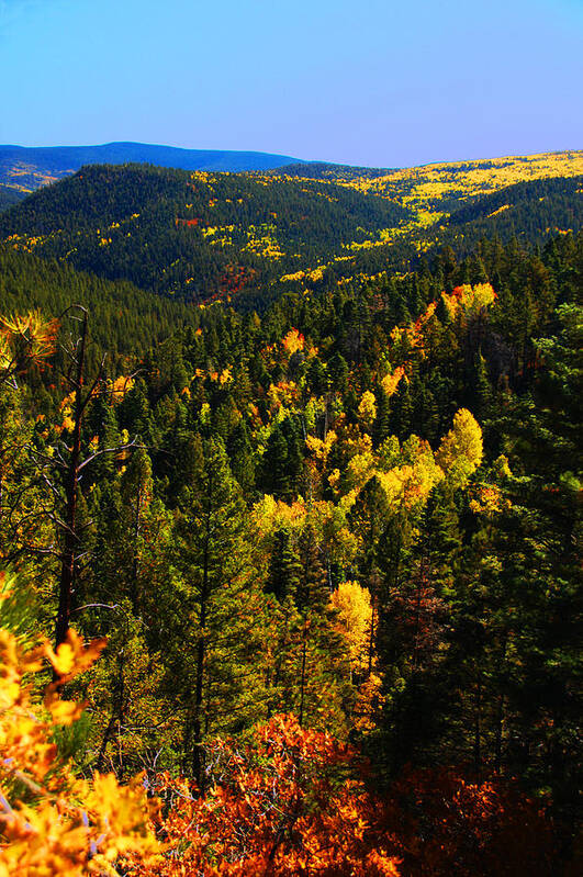 Mountain Art Print featuring the photograph Aspen Mountains by Shirin McArthur